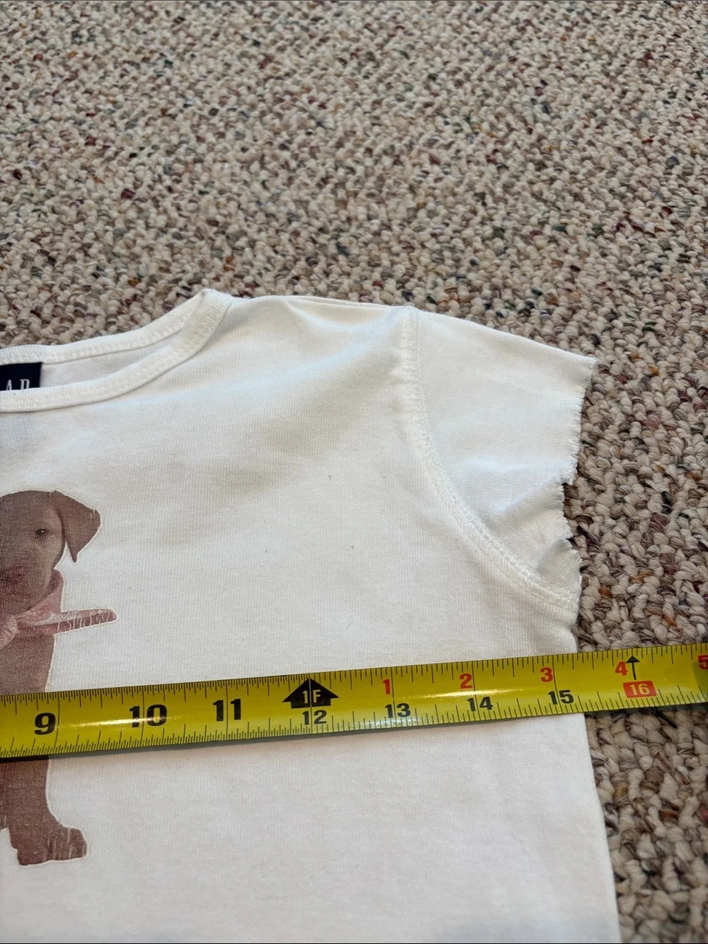 GAP classic crewneck